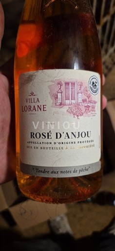 Loiren laakso Rosé d’Anjou Villa Lorane Ei vuosikertaa