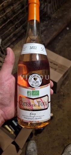 Lorena Côtes-de-toul Vincent Laroppe Gris 2022