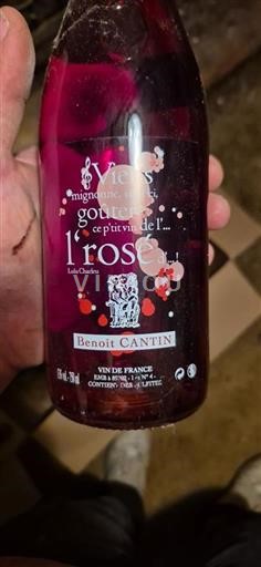 Burgundy Not Specified Benoit Cantin Vie mignonne, goûte ce p'tit vin de l'rose Non-Vintage