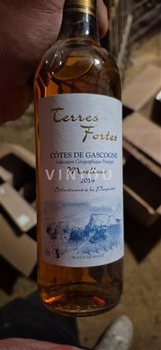 Sudoeste Côtes de Gascogne Terres Fortes 2019