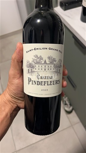 Bordeaux Saint-Émilion Grand Cru Château Pindefleurs 2023