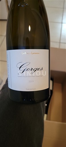 Loiredalen Muscadet-Sèvre-et-Maine Martin Luneau Gorges 2019