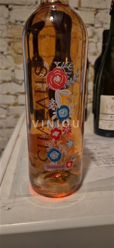 Provence, Ala-Rhônen laakso, Korsika Ardéche-viinialueet Domaine Chazalis 2023