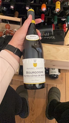 Bourgogne Hautes Côtes de Beaune Doudet-Naudin 2023