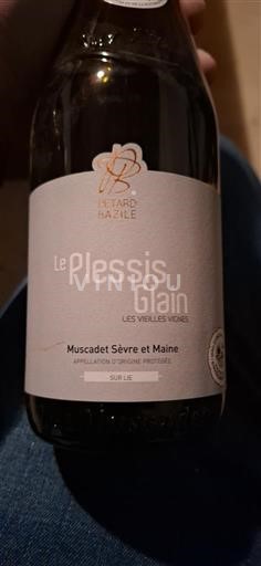 Loiredalen Muscadet-Sèvre-et-Maine Pétard Bazile Le Plessis Glain Les Vieilles Vignes 2021