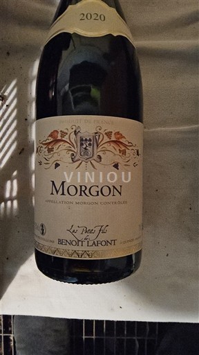 Beaujolais Morgon Benoît Lafont Les Petits Fils 2020