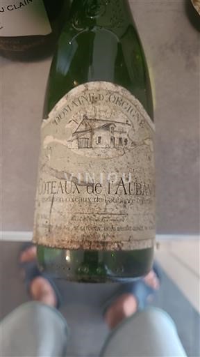 Valle del Loira Coteaux-de-l'Aubance Domaine Origine 2000