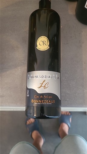 Thung lũng sông Loire Bonnezeaux Domaine Loizeau Clain Clos de Beljoi 2016