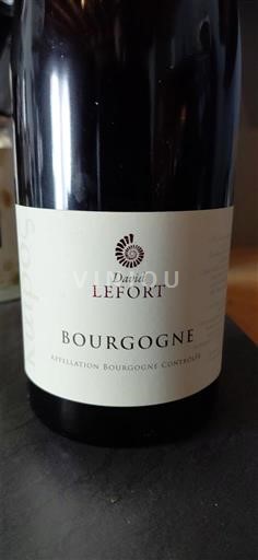 Borgogna David Lefort 2020