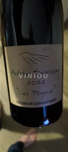 Thung lũng sông Loire Saumur-champigny Antoine Sanzay Les Poyeux 2023