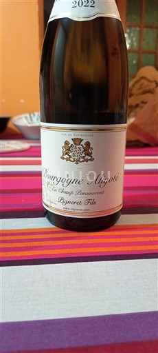 Borgoña Borgoña-Aligoté Pigneret Fils 2022
