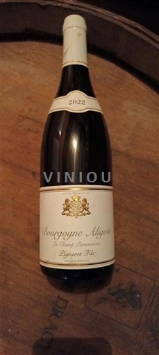 Bourgogne Bourgogne-aligoté Pigneret Fils 2022