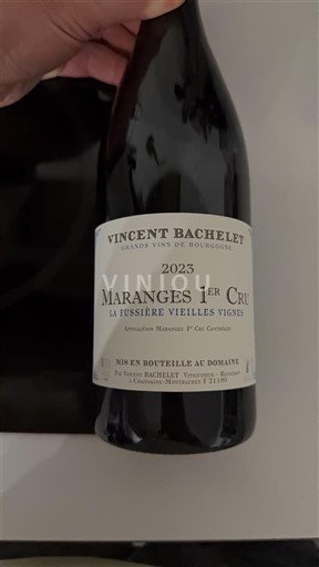 Burgundia Maranges Premier Cru Domaine Vincent Bachelet La Fussière Vieilles Vignes 2023