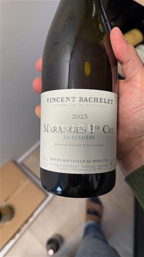 Bourgogne Maranges Premier Cru Domaine Vincent Bachelet La Fussière 2023