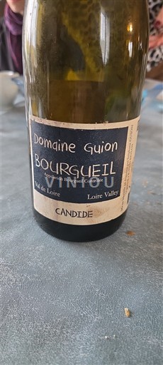 Valle della Loira Bourgueil Domaine Guion Candide 2021