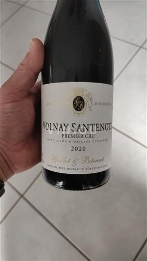 Burgundy Volnay Premier Cru Gilot & Blitounet 2020
