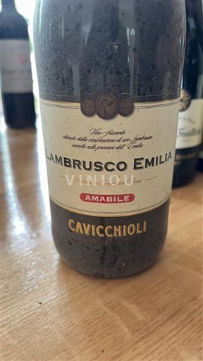 Emilia-Romagna Not Specified Cavicchioli Non-Vintage