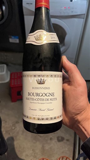 Burgundsko Hautes Côtes de Nuits Domaine Pascal Guenol Buissonnières 2016
