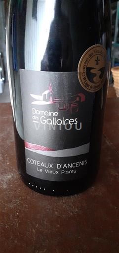 Thung lũng sông Loire Coteaux-d'ancenis Domaine Des Galloïres Vieux Planty 2021