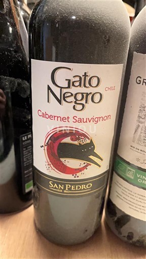 Dolina Maipo Osrednji Maipo San Pedro Gato Negro Cabernet Sauvignon 2020