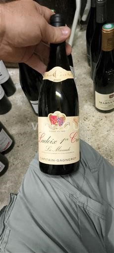 Bourgogne Ladoix Premier Cru Capitain-Gagnerot Les Mouxonds 2021