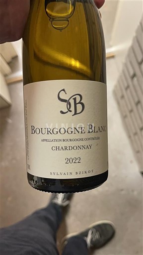 Wijnen Blanc sec Sylvain Bzikot 2022 Frankrijk Bourgondië Niet gespecificeerd AOC