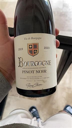 Burgundsko Domaine Pierre Chanau 2023