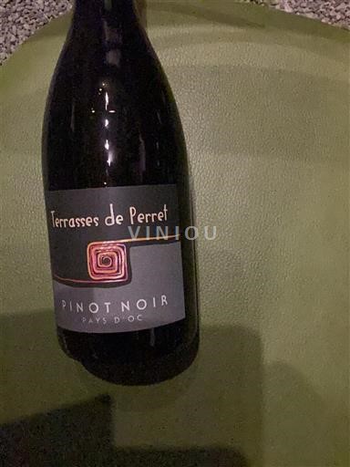 Linguadoca e Rossiglione Paese d'Oc Terrasses de Perret Pinot Noir 2015