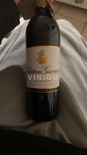 Vin Rouge sec Giscours 2019 France Bordeaux Margaux AOC Grand Cru