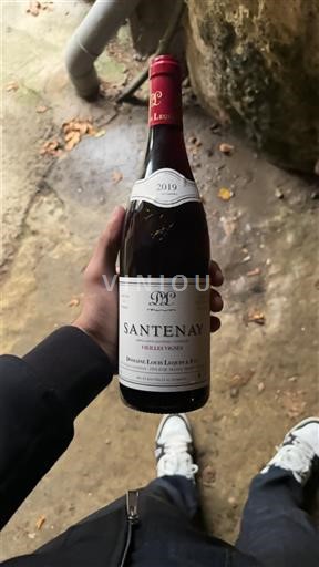 Borgoña Santenay Domaine Louis Lequin & Fils Vieilles Vignes 2019