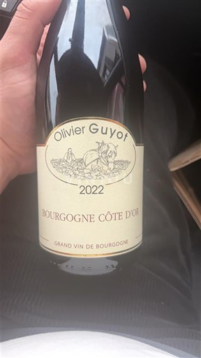 Borgogna Borgogna Côte d'Or Olivier Guyot 2022