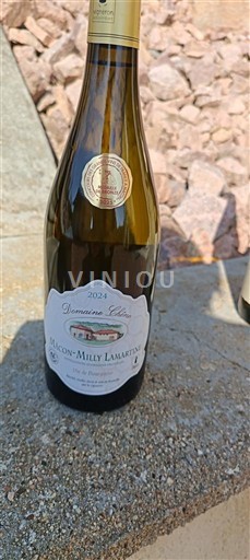 Burgund Mâcon og Mâcon-Villages Domaine Chêne 2024