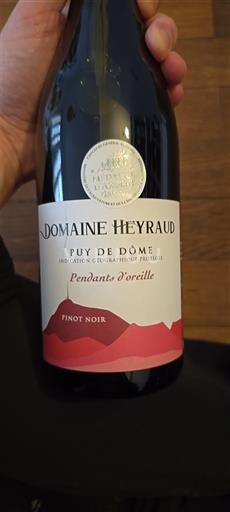 Loiren laakso Puy-de-Dôme Domaine Heyraud Pendants d'oreille 2022
