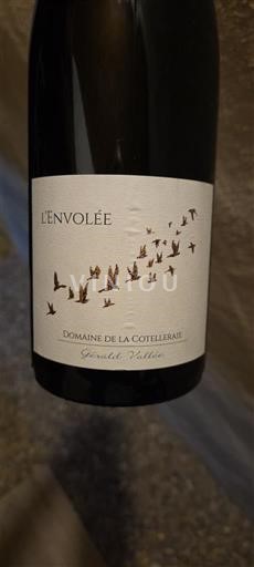 Loire-dalen Saint-Nicolas-De-Bourgueil Domaine La Cotelleraie L'Envolée 2017