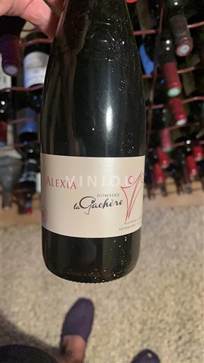 Beaujolais Domaine La Gachère Alexia Não Sazonado