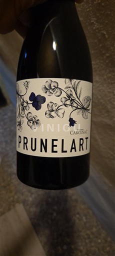 Jihozápad Gaillac Carcenac Prunelart 2023