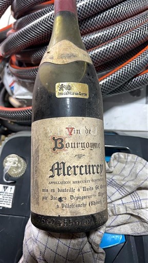 Borgoña Mercurey Jacques Depaguary Sin añada