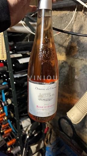 Loiren laakso Rosé d’Anjou Domaine Des Charmes 2022