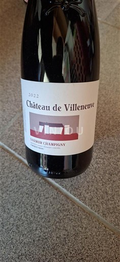 Thung lũng sông Loire Saumur-champigny Château Villeneuve 2022