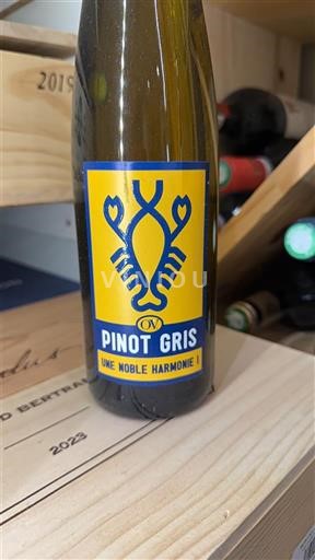 Alsacia Une Noble Harmonie 2023