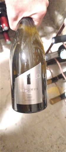 Bordeaux Redimus 2020