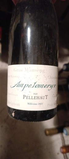 Sudoeste Côtes de Gascogne Domaine Pellehaut Ampelomeryx 2021