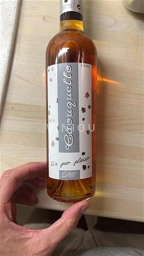 Sydväst Sudvästra Frankrike Caouquello Un pur plaisir 2005