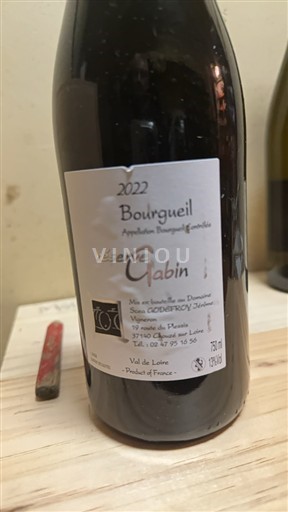 Údolí Loiry Saint-Nicolas-De-Bourgueil Domaine Godefroy Réservé Gabin 2022