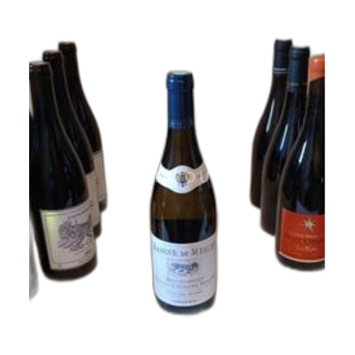 Burgundy Hautes-Côtes de Beaune Manoir de Mercey Clos des Dames 2021