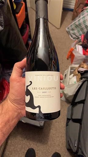 Neuchâtel Neuchâtel AOC Domaine Des Landions Les Cailloutis 2021
