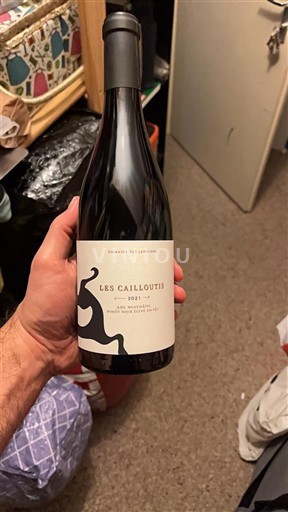 Neuchâtel Neuchâtel AOC Domaine Des Landions Les Cailloutis 2021
