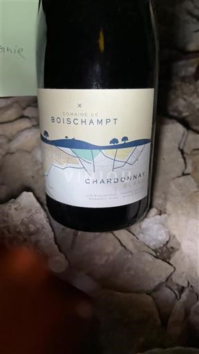 Beaujolais Domaine Boischampt Ei vuosikertaa