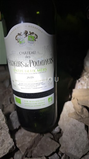 Burdeos Entre dos mares Château Des Seigneurs de Pommyers 2019