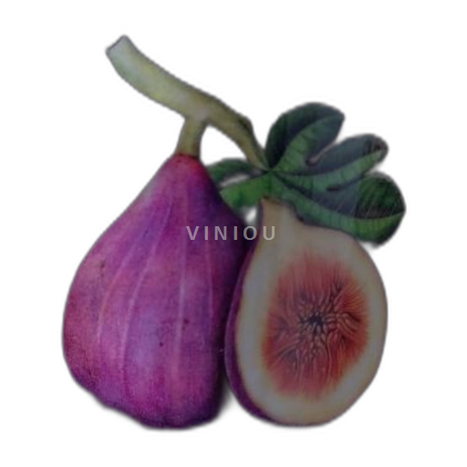 Thung lũng Rhône Côtes-du-rhône Domaine de la Bastide Không niên vụ